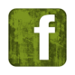 099848-green-grunge-clipart-icon-social-media-logos-facebook-logo-square-300x300